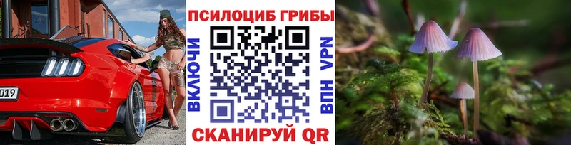 купить наркотик  Набережные Челны  Псилоцибиновые грибы MAGIC MUSHROOMS 